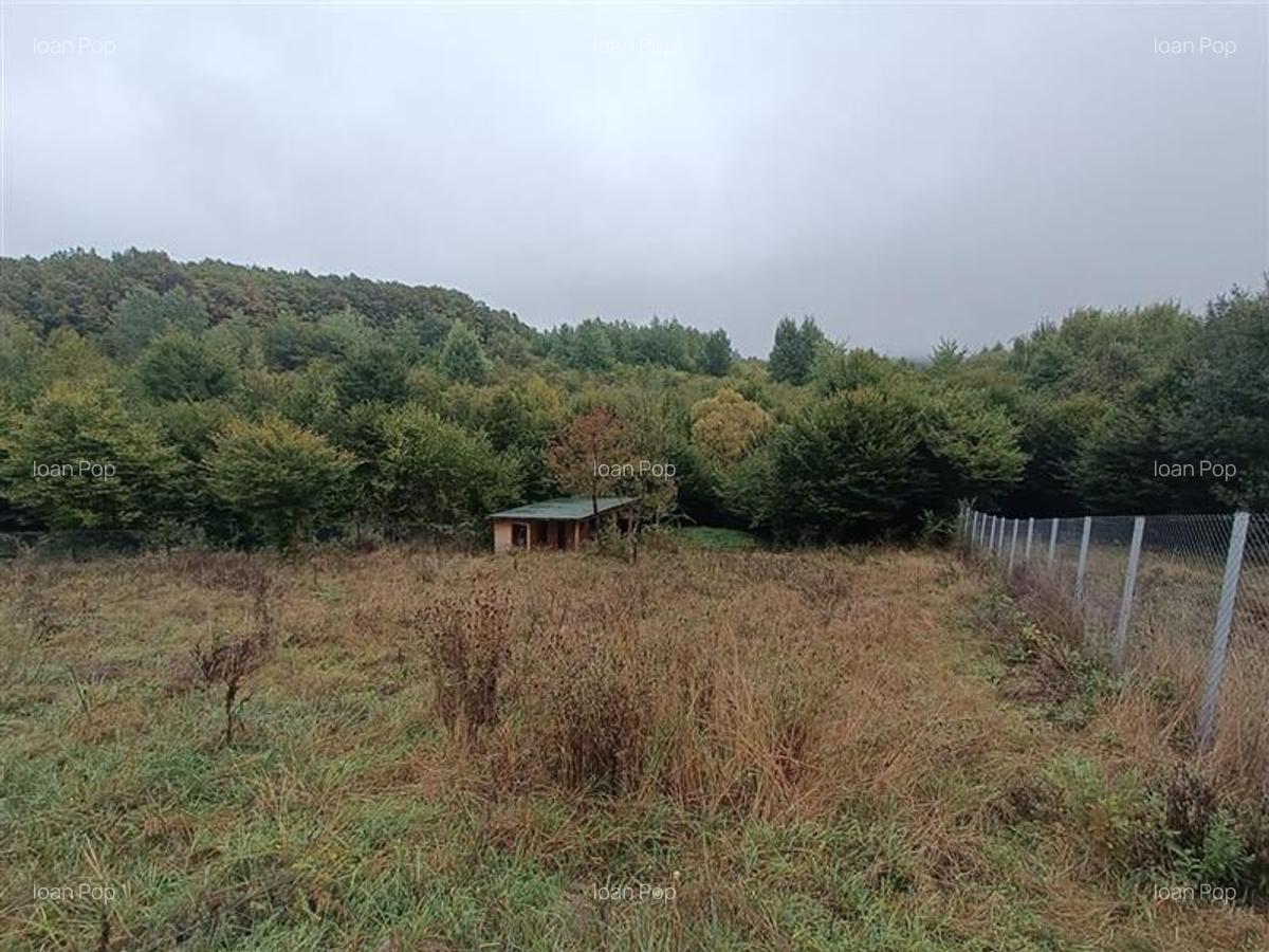 Teren cu suprafata 1054 mp, PUD, C.U., A.C., situat in Salicea! - 6