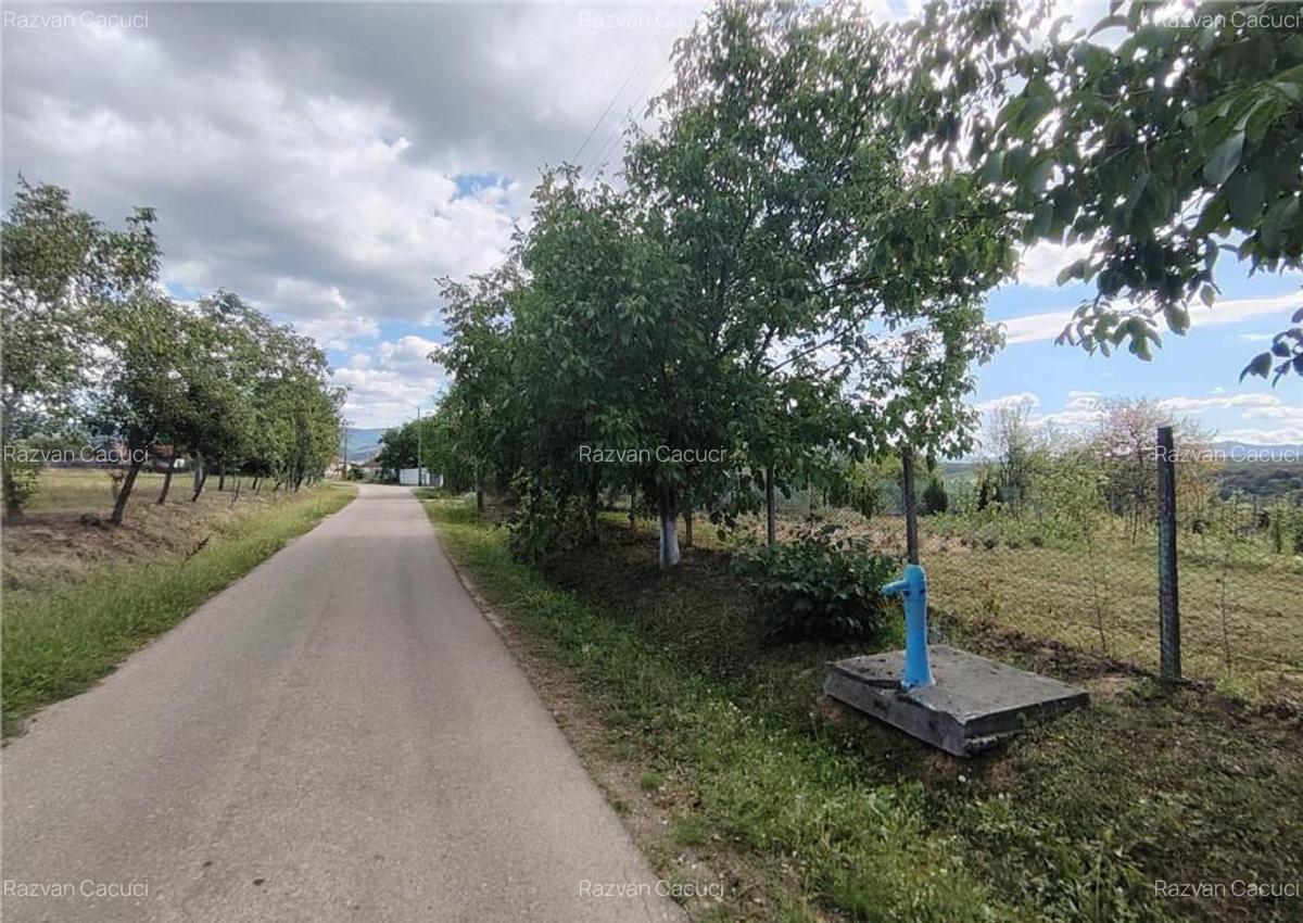 RECO teren intravilan in Saliste de Beius - 4