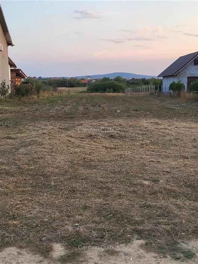 RECO Teren intravilan Alparea - 1