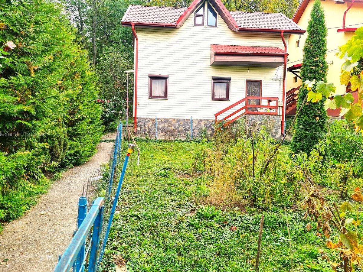 Vila rezidentiala si Casa de vacanta - 14