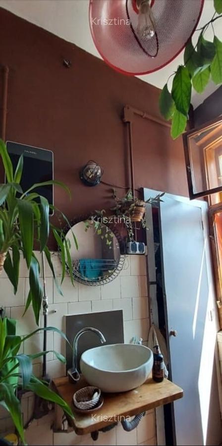 Apartment artistic in centrul Clujului de vanzare - 8