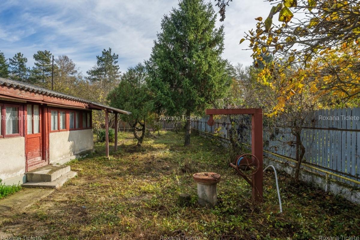 SNAGOV – CENTRAL, CASA 144 MP, LOT 1000 MP! - 22