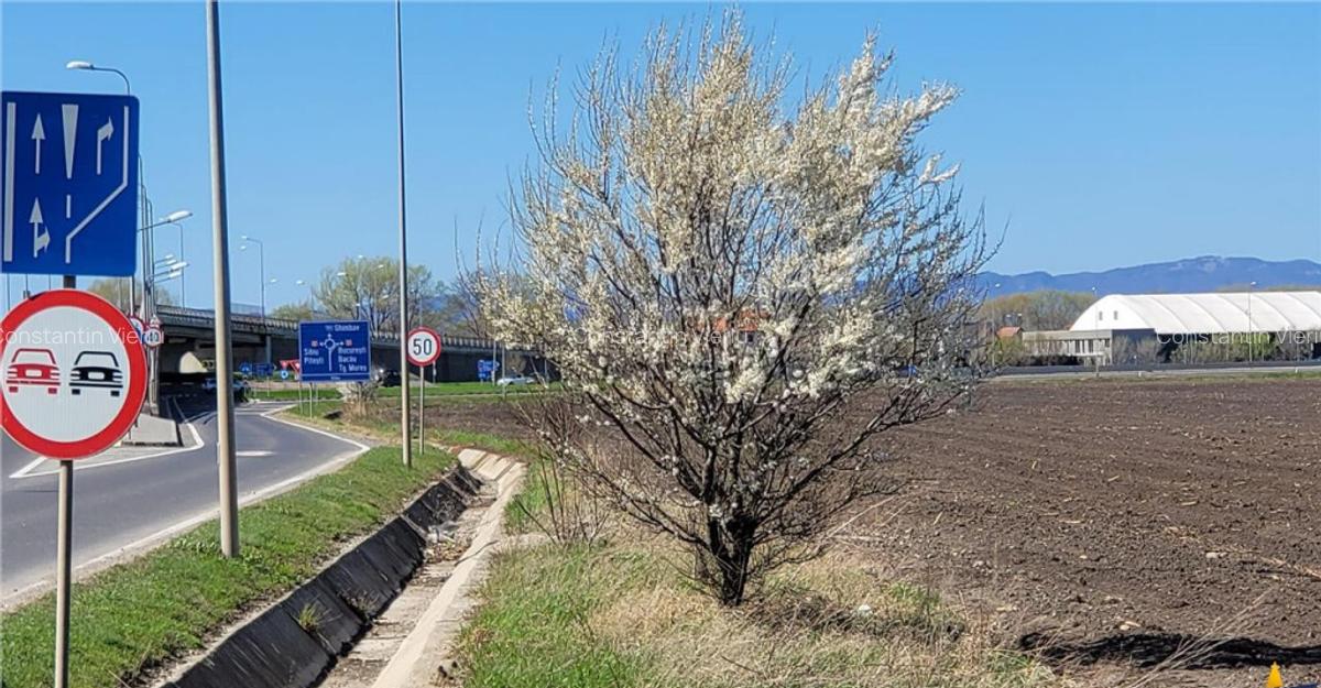 50.000mp teren intravilan, Clasa Master, in Brasov spre Stu - 10