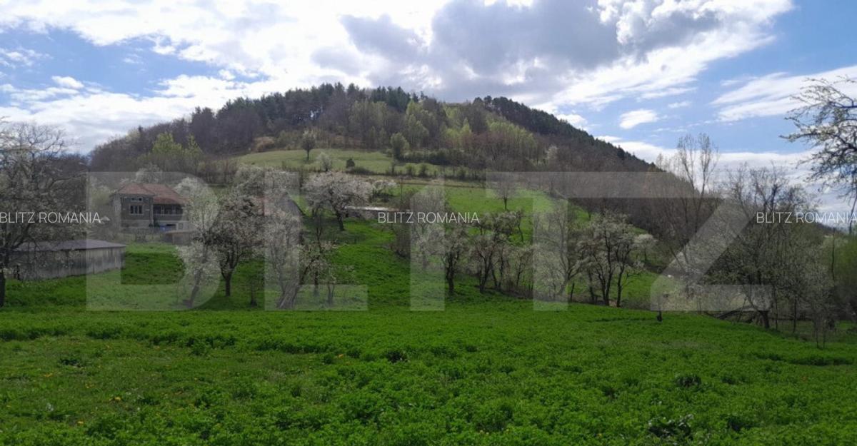 Casa individuala, 5500 mp teren, zona Vintu de Jos, Inuri - 3