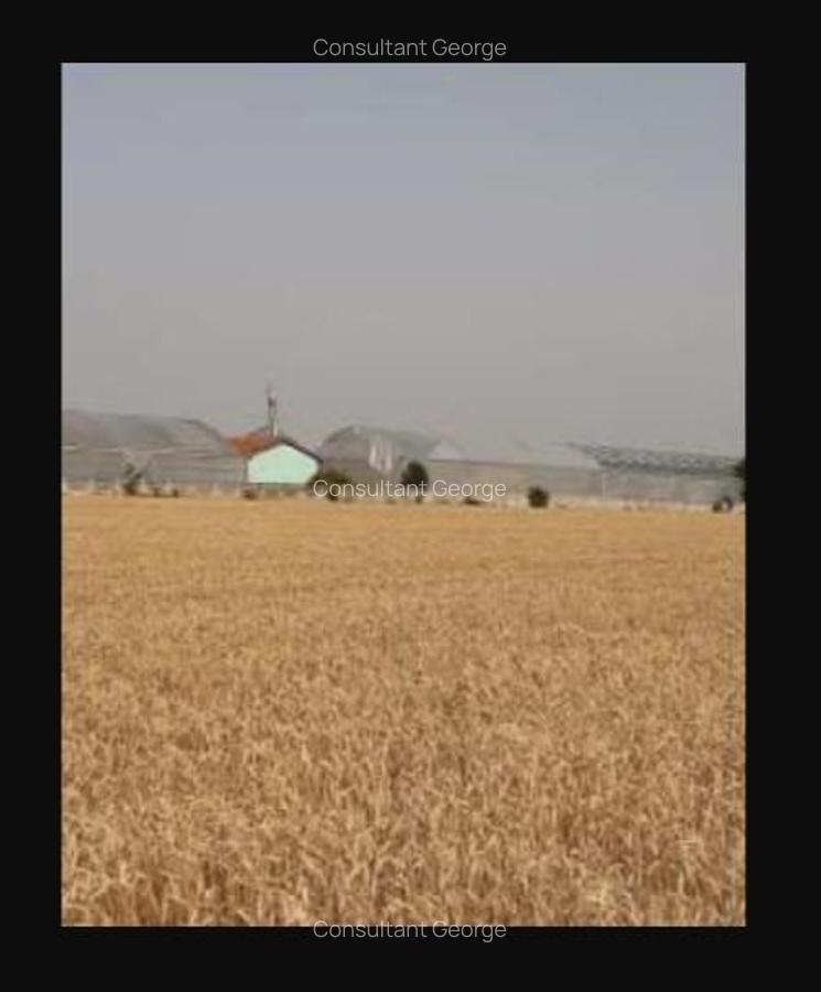 Spațiu industrial, 7300 mp în Uivar - 4