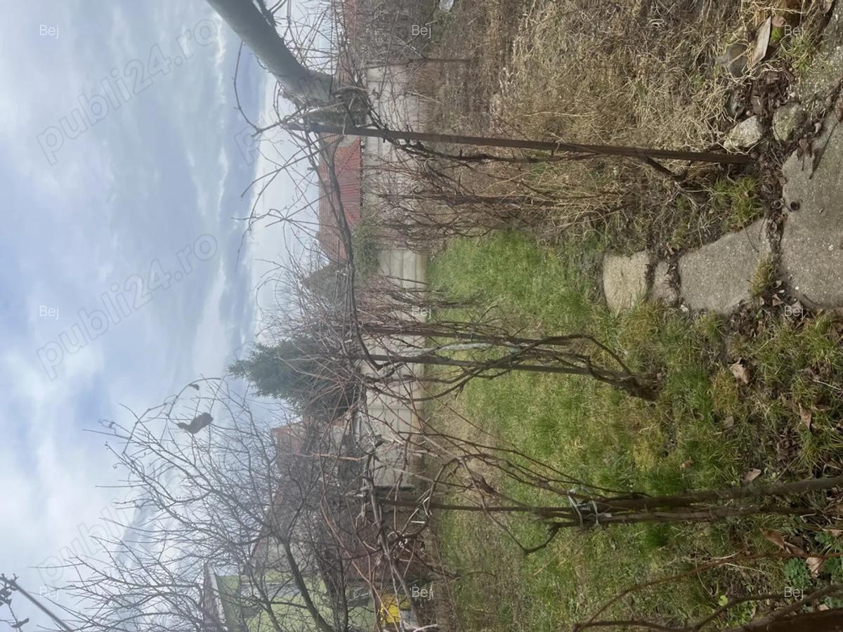 Vand casa cu teren GRADISTE-ARAD, str. Randunicii, nr 32, lzona excelenta, - 6 Vand casa cu teren GRADISTE-ARAD, str. Randunicii, nr 32, lzona excelenta, - 6