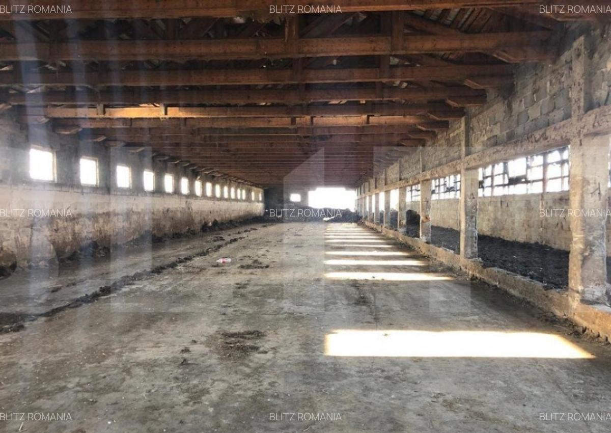 Ferma de vanzare in jud. Covasna, suprafata teren 4824 mp - 1 Ferma de vanzare in jud. Covasna, suprafata teren 4824 mp - 1