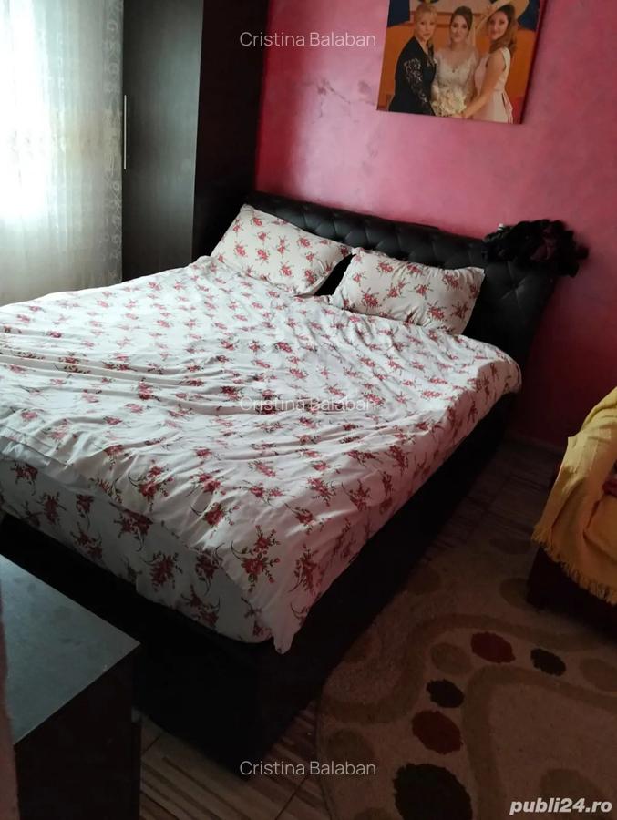 Vand casa in comuna Gemenele - 5