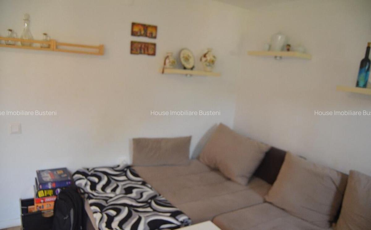 Busteni-Valea Alba-Casa de vacanta cu patru camere - 2