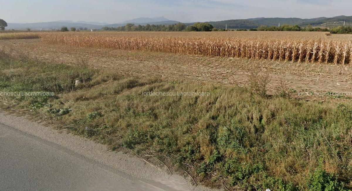 De vanzare teren industrial extravilan de 3.5  ha, în  Codlea zona Sud - 1