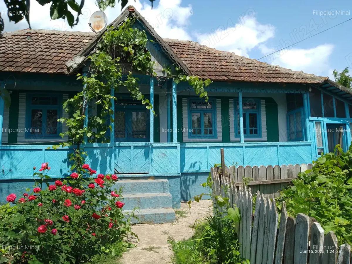 Casa batraneasca la tara - 6