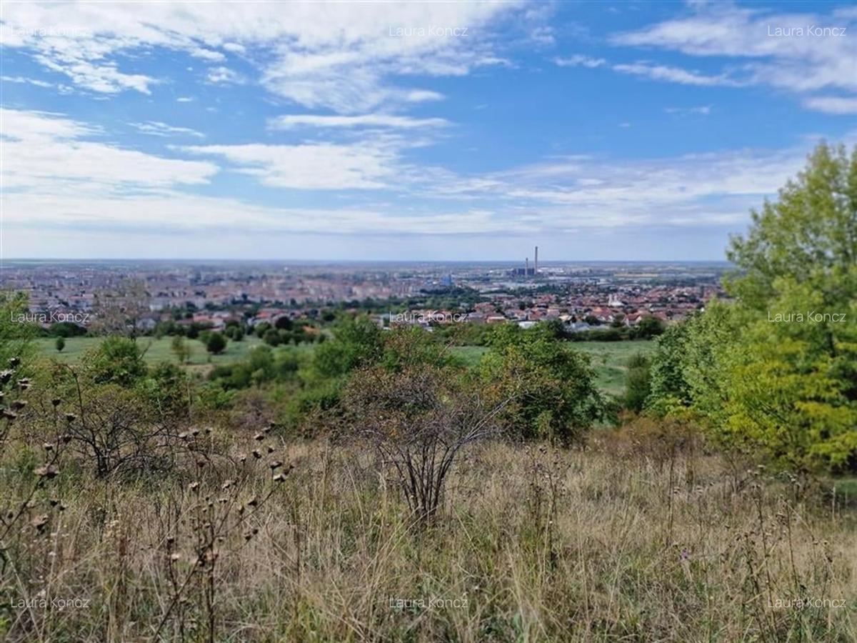 RECO Teren Dealuri Oncea - 1