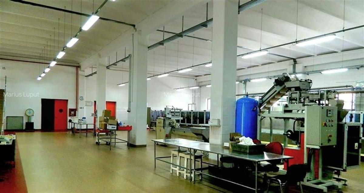 Hala industriala, 1600 mp cu teren 6500 mp , Timisoara Nord Vest - 4