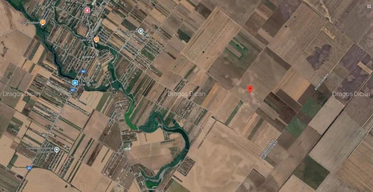 Teren Extravilan In Rate Primaverii Com. Berceni | 9127mp | #EG1E - 3