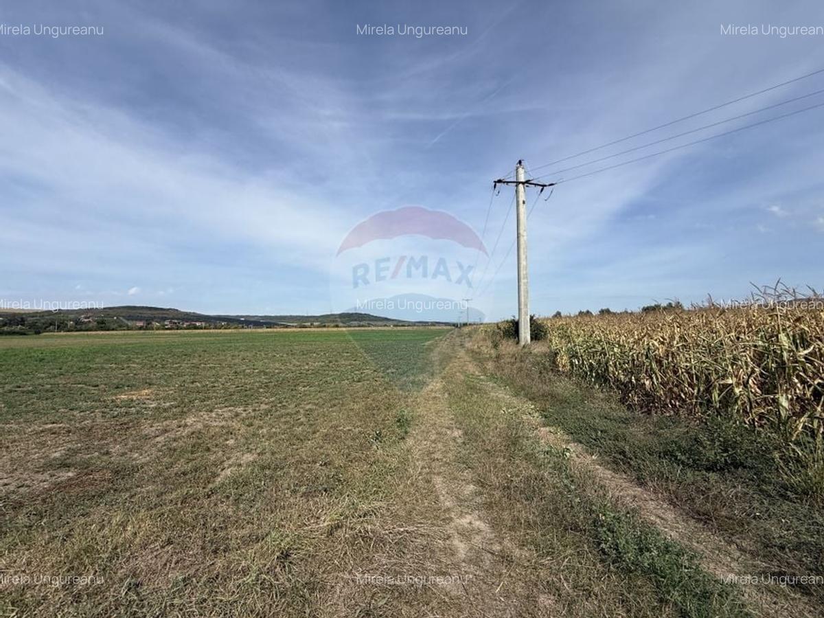 Teren Investitii 1.1 ha |  Bontida-Halta Rascruci - 3