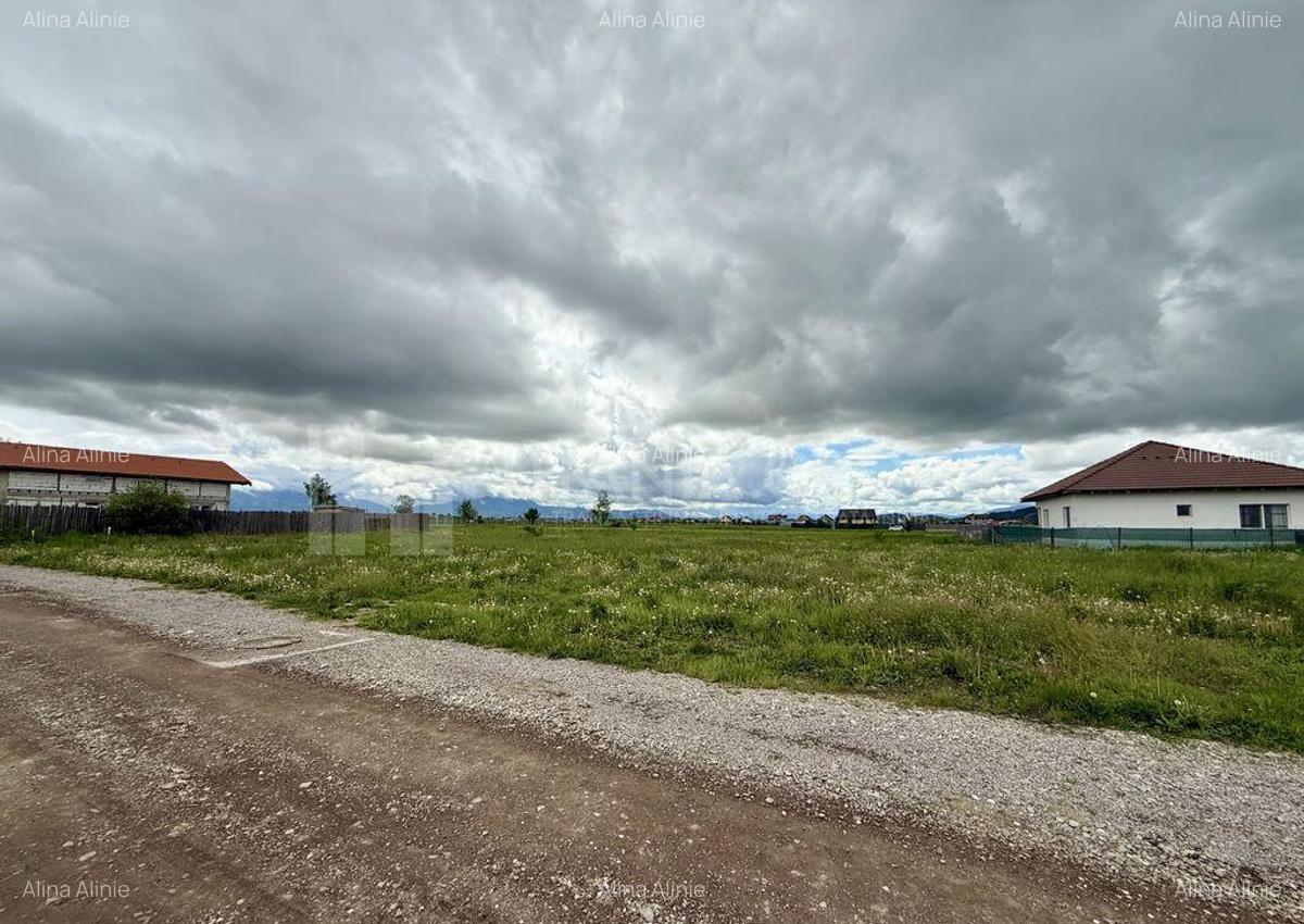 Teren intravilan, PUZ aprobat, 800 mp, apa si canalizare,... - 4