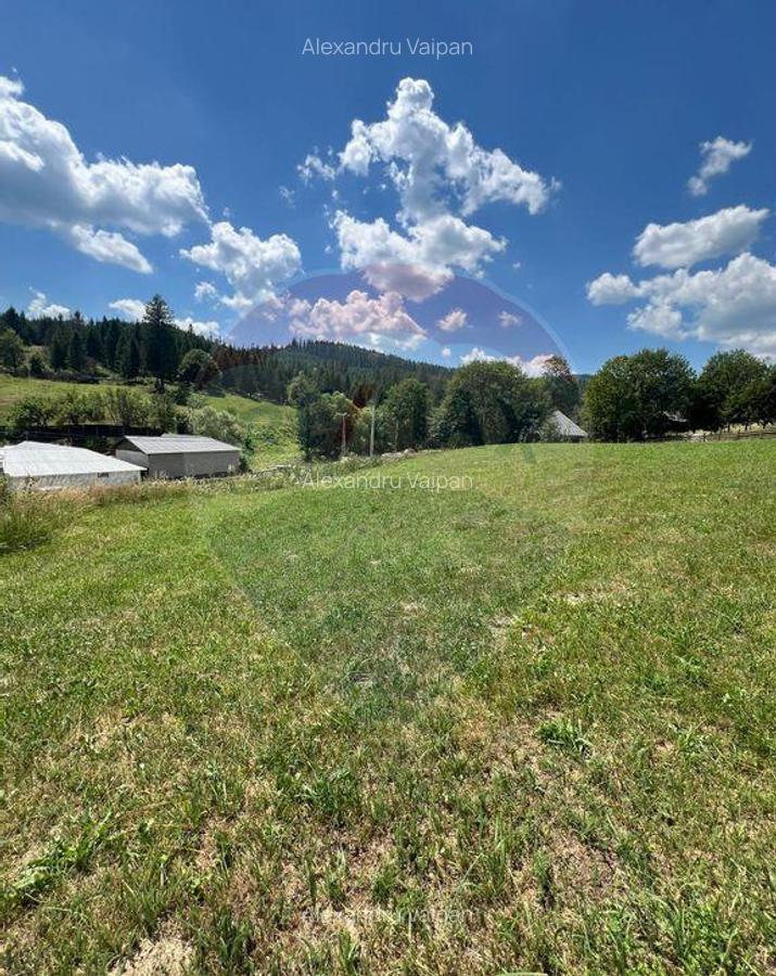 Teren 4397 mp Intravilan Manastirea Humorului / Lunga Buc... - 9