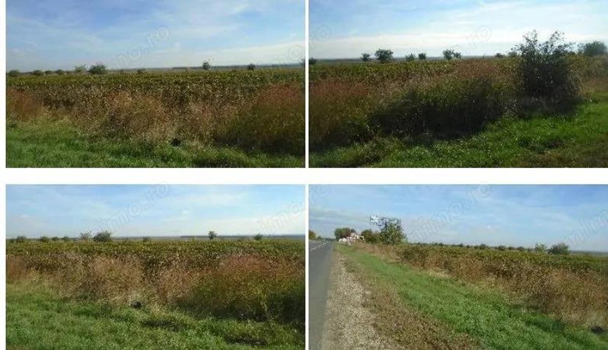 Teren extravilan Obrejita, ID: R2832813 - 5