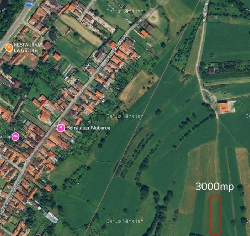 Teren extravilan cu priveliste minunata 3000mp in Rasinari - 1