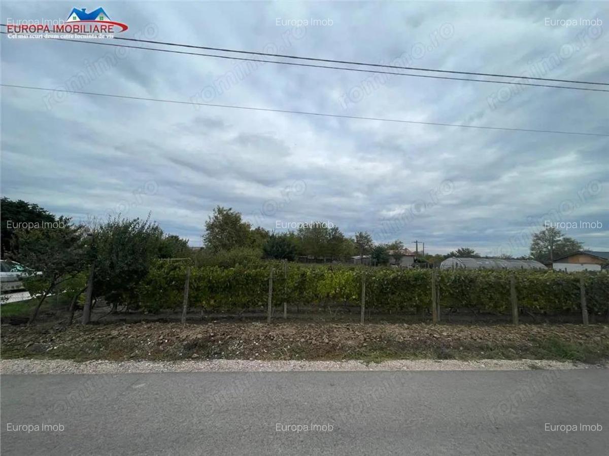 Teren de vanzare in localitatea Iazurile judetul Tulcea - 3