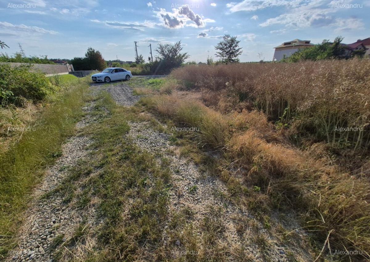 Teren ieftin la liziera padurii Balotesti, 350mp - 27