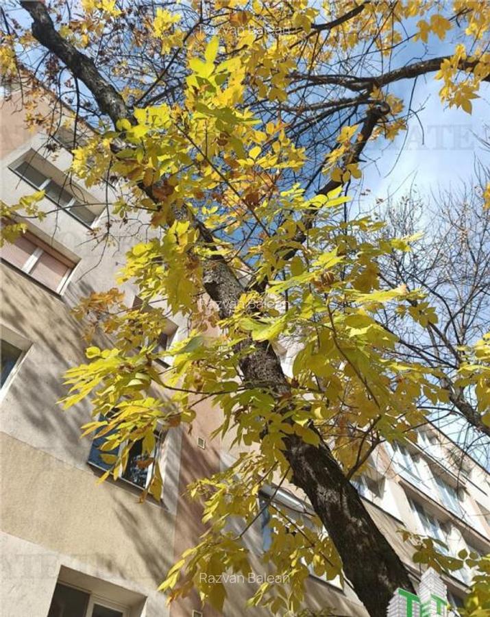 Apartament frumos intr-un bloc reabilitat, cu 3 camere si ba - 1