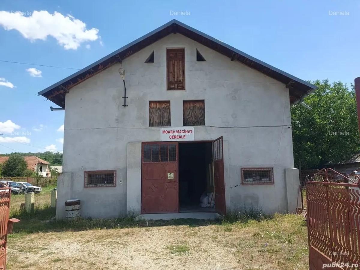 Vand proprietate - 2
