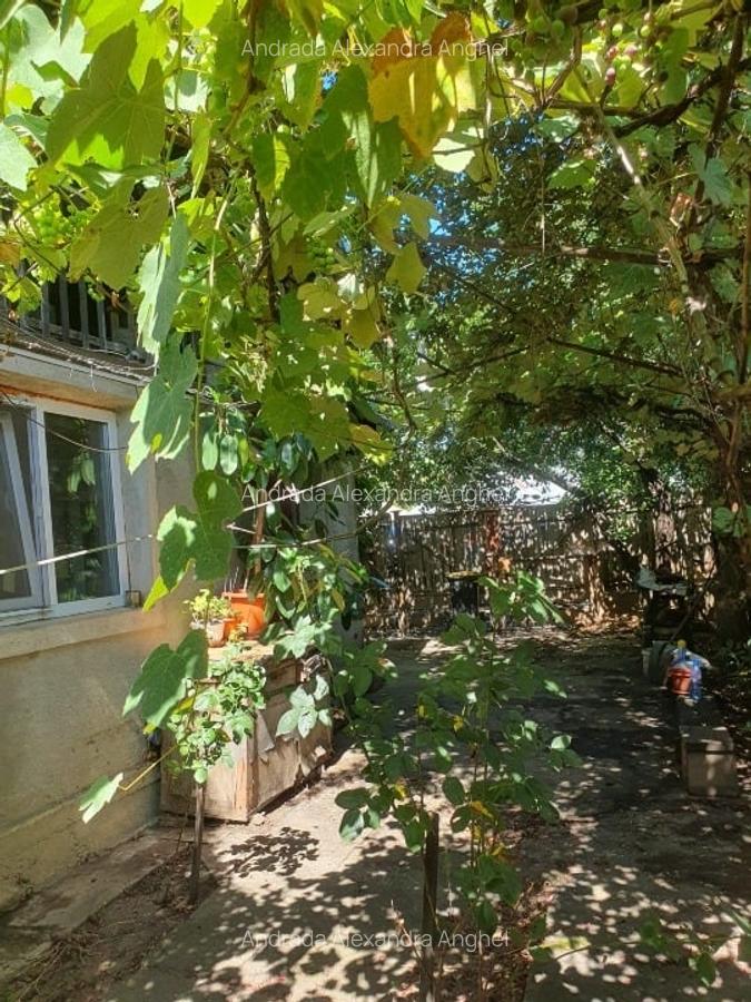 Casa + teren de vanzare -505mp- Comuna Barcanesti, sat Tatarani, PRINCIPALA - 5