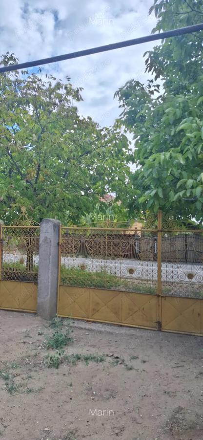 Vand casa in Ciupercenii Noi,judetul Dolj - 9