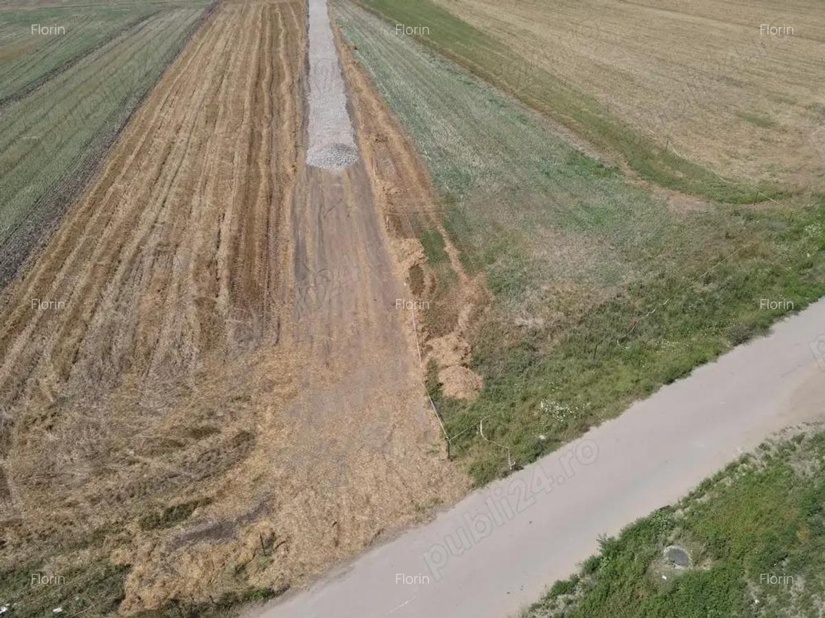 Lot 13+14 libere | 500 MP | Proprietar | Clinceni - 3
