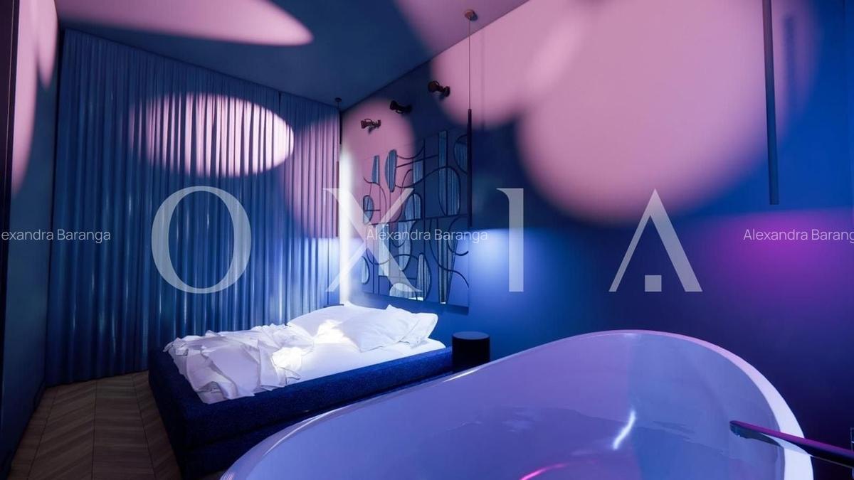 AX1077 Balcescu, Zona Istorica, Proiect Design - 16