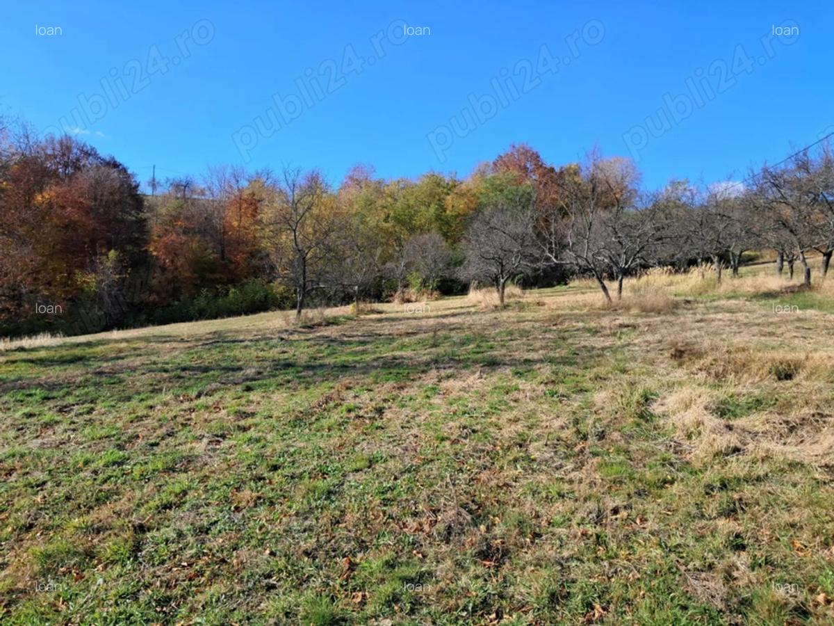 Casa Valea tarnei 8 hectare p mant - 3