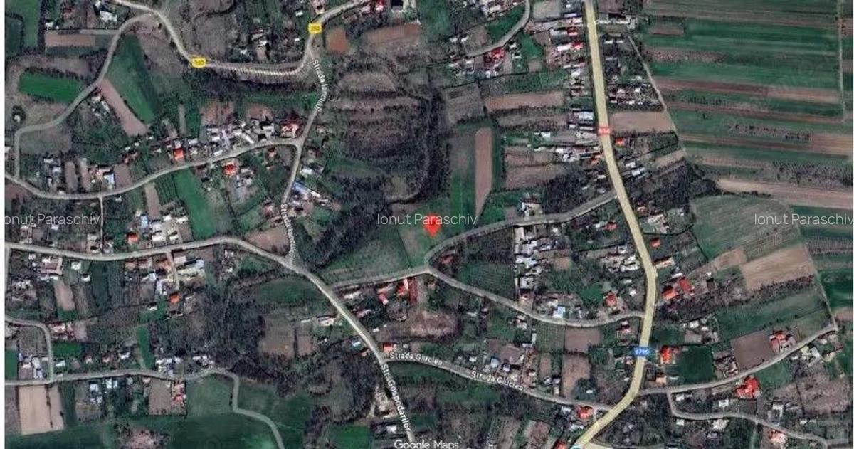 Teren Ungheni, ID: R2832820 - 3