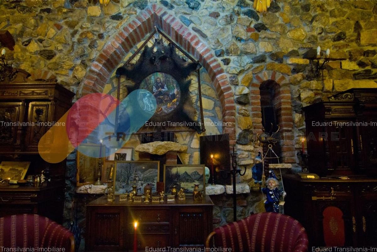 Exclusivitate si Istorie - Castelul Printul Vanator din Turda - 18