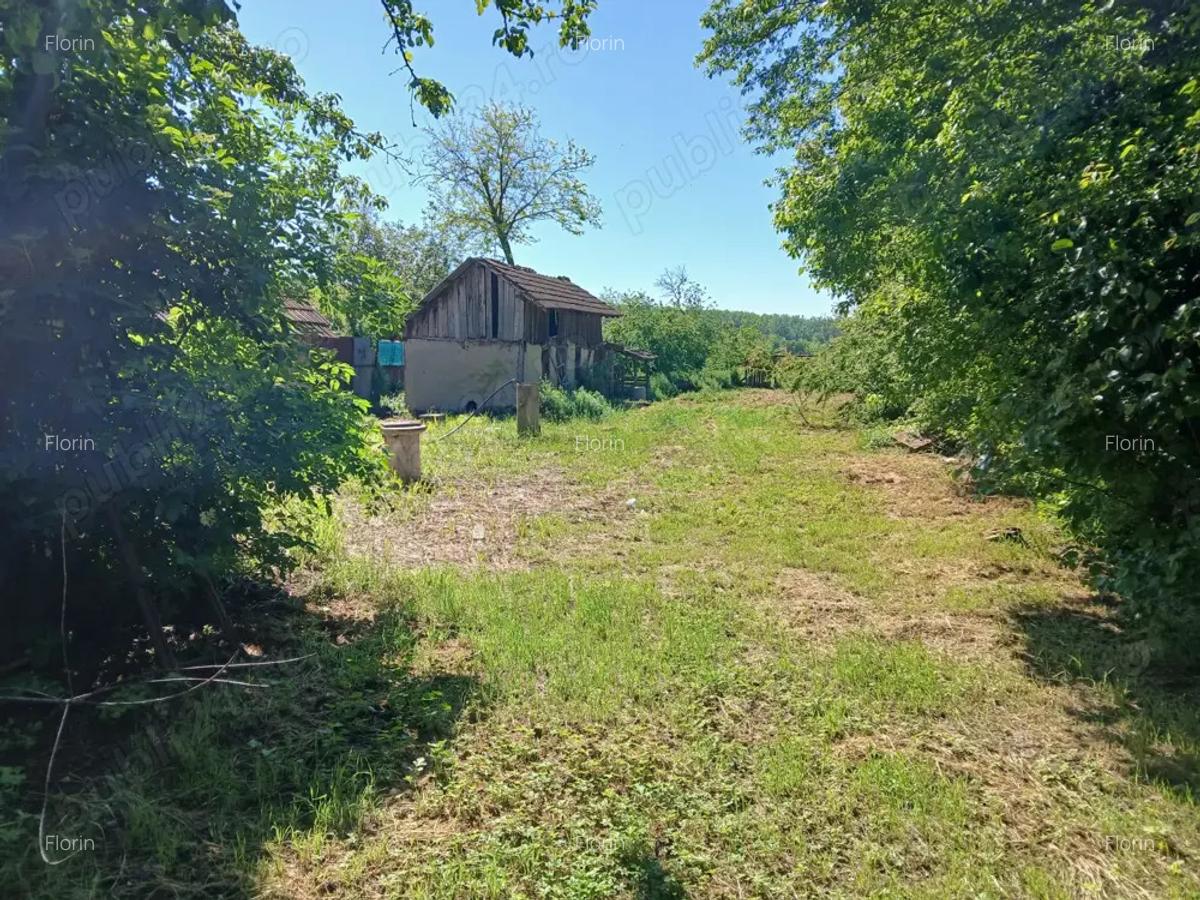 Casa batraneasca -Tufani Prahova - 4
