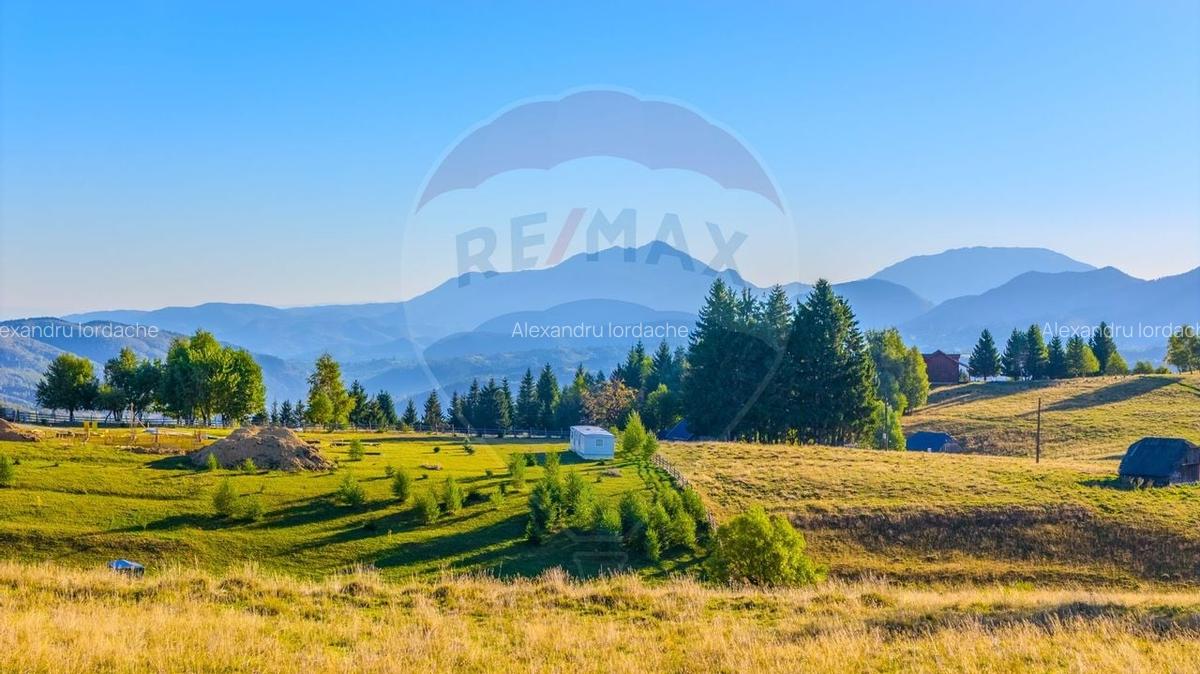 COMISION 0% Teren 19.300 mp/Sirnea/ Oportunitate de investitie - 5