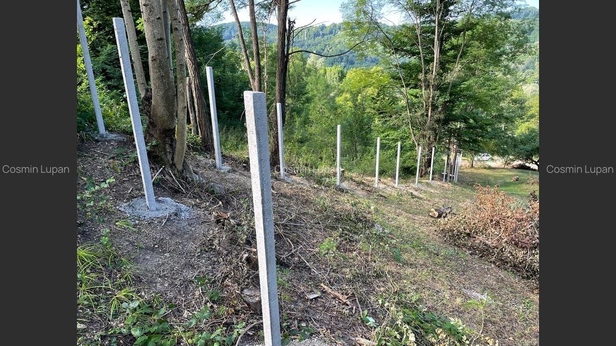 Vânzare teren Provita de Jos: 2301 mp, centru - 4