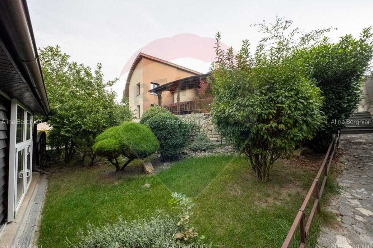 Vila spectaculoasa de vanzare in Faget - 5