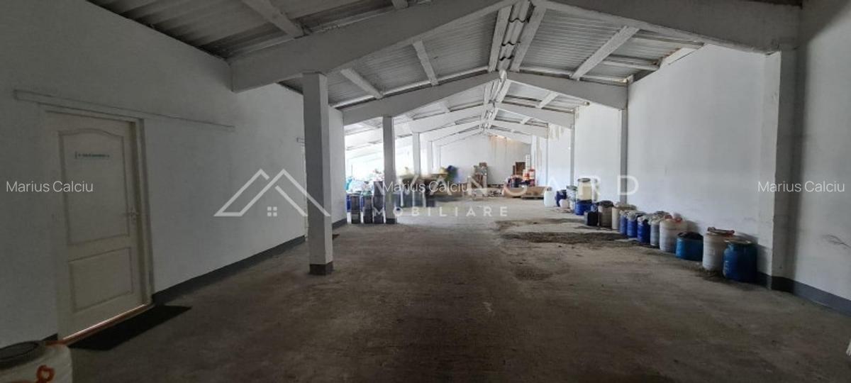 Spatiu Industrial/Hala | 1060 mp utili | Oiejdea (Alba) - 2