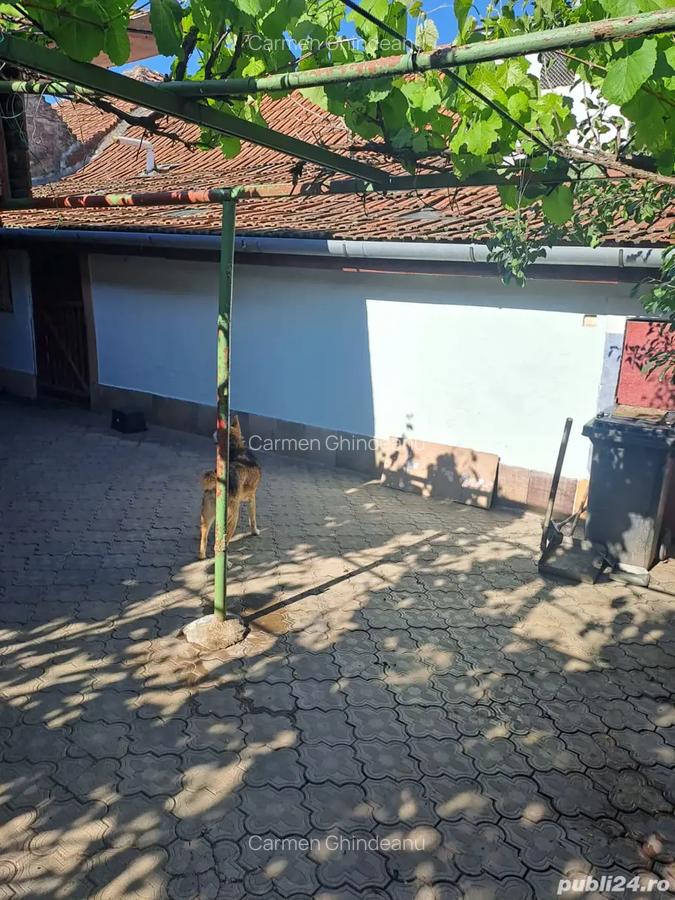 Proprietar vand 2 case in aceeasi curte - 3