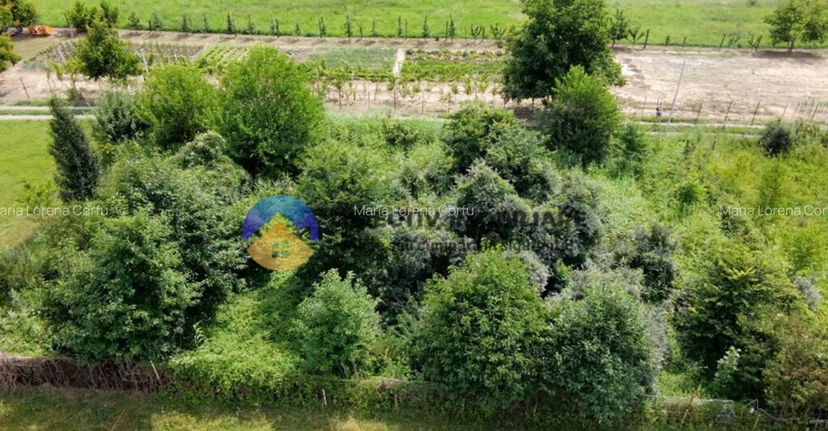 Teren intravilan com. Alexandru cel Bun- Viisoara - 9