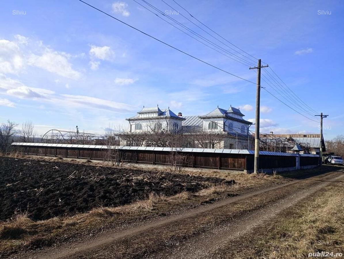 Casa 260 Mp anexe 280 Mp teren 7500 mp Rauce?ti- Ungheni - 3