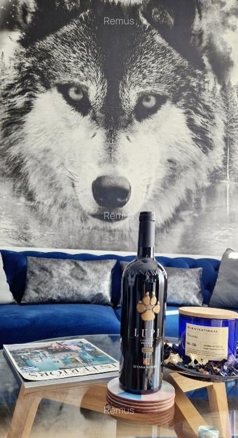 Apartament 2 camere Brasov - 2