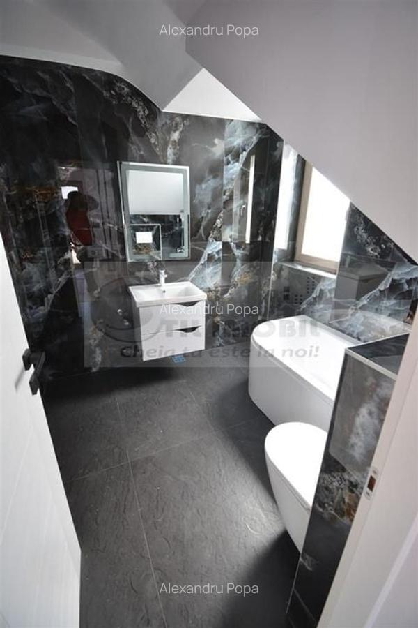 Vila in modul insiruit - Popas Pacurari - 6