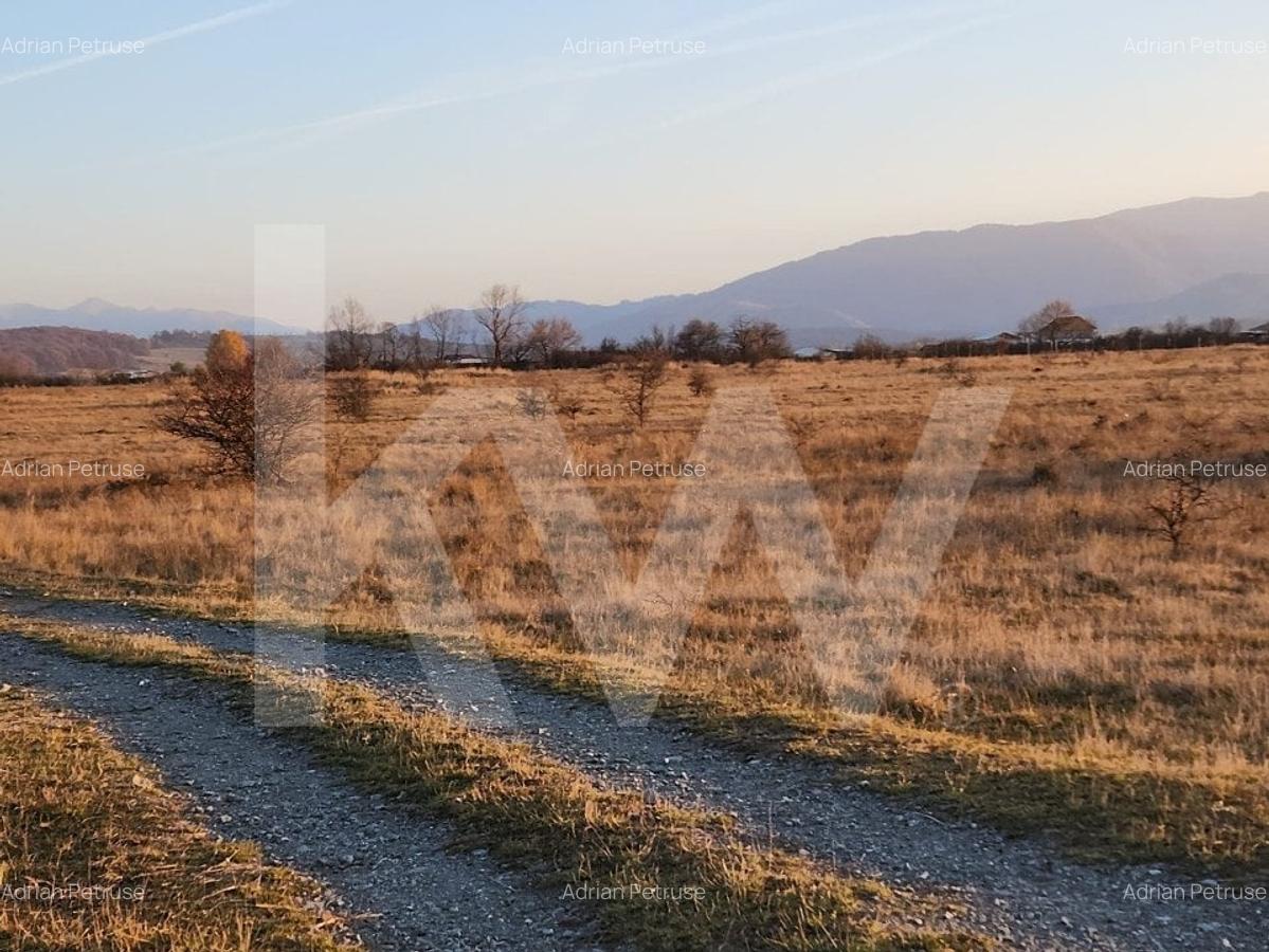 Oportunitate investitie | De vanzare, 3 parcele de 560 mp. - 1