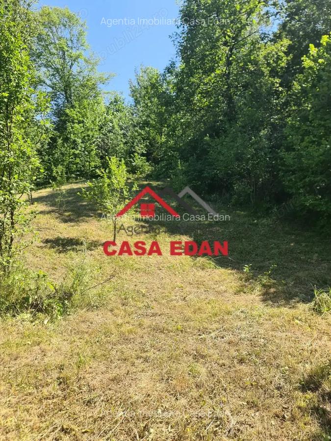 Teren intravilan neconstruibil in Poiana Campina--550 mp--5.300e - 5