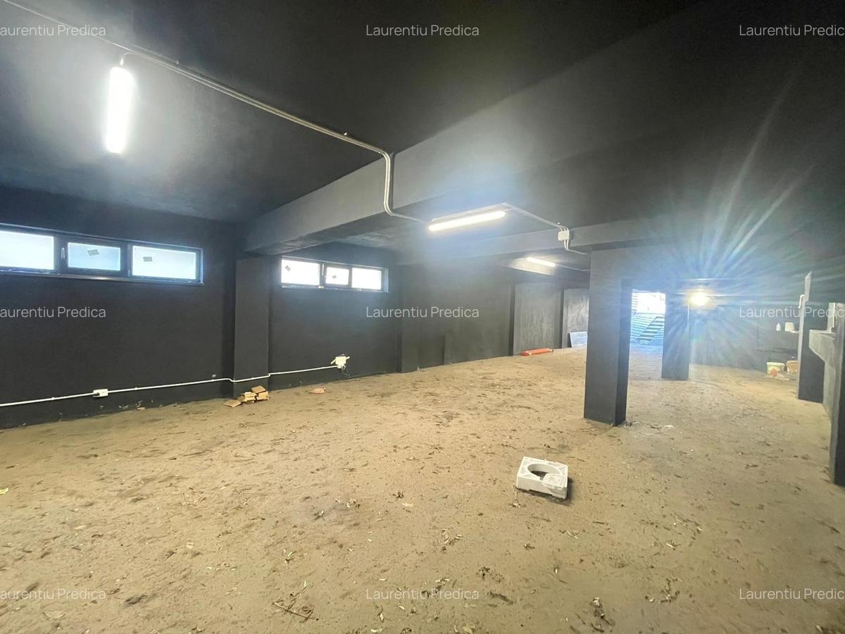 Spațiu industrial  – Zona Victoriei – Str. Teodosie Rudeanu nr. 41, - 6