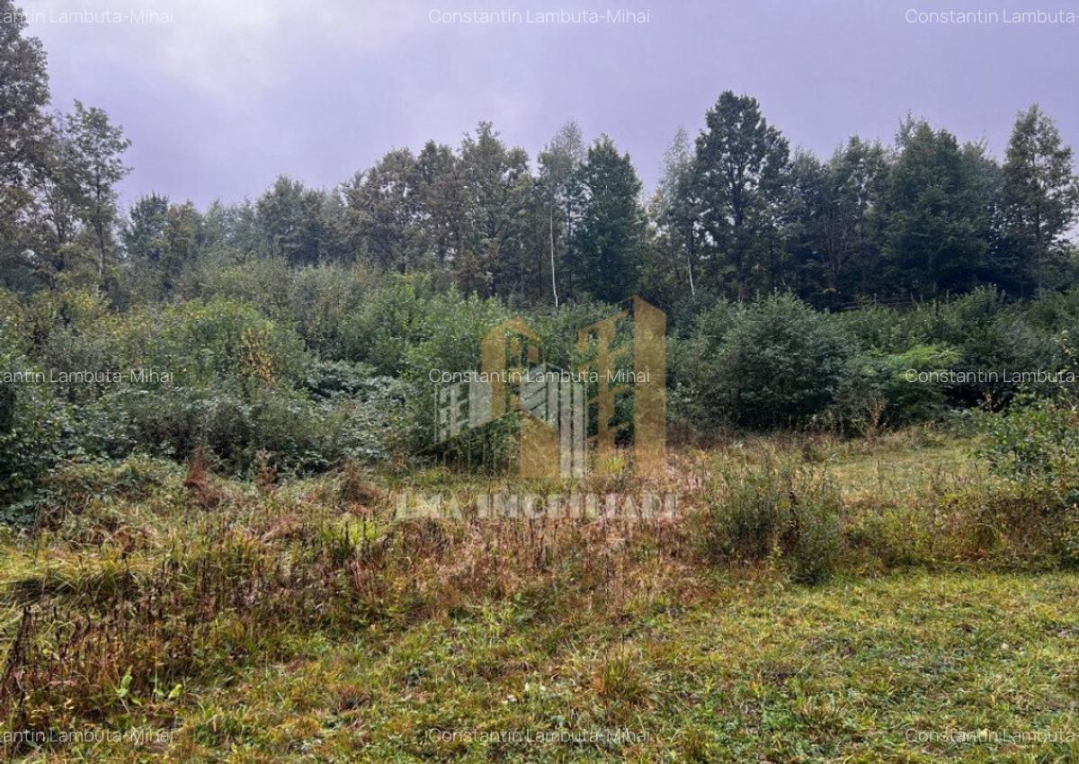 Teren intravilan Sinca Noua - 8