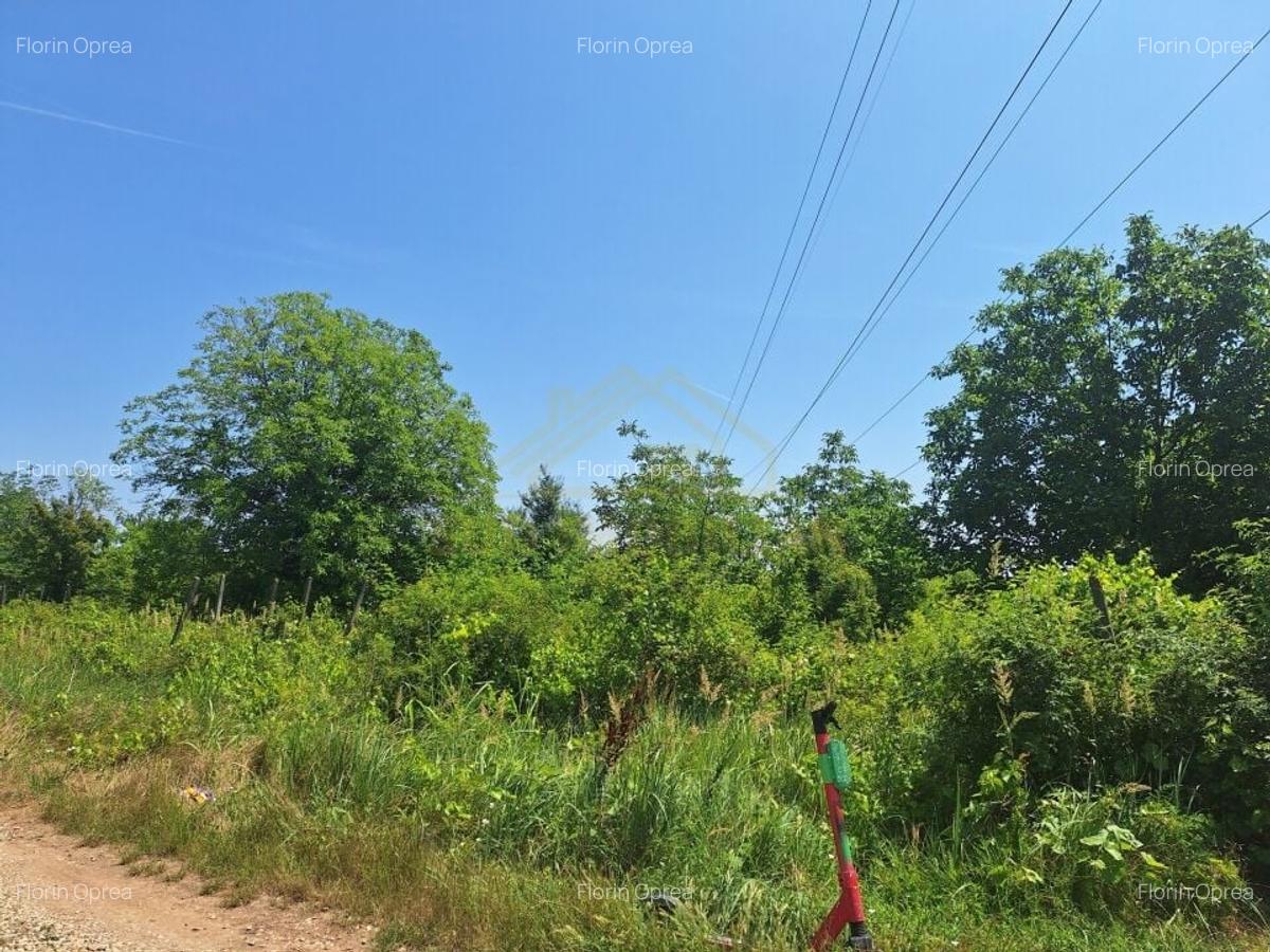 STR.APUSULUI-TEREN INTRAVILAN-2000 MP - 6