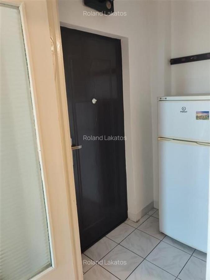 Garsonieră decomandată în Rogerius - 4